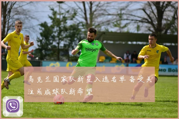 乌克兰国家队新星入选名单 备受关注或成球队新希望