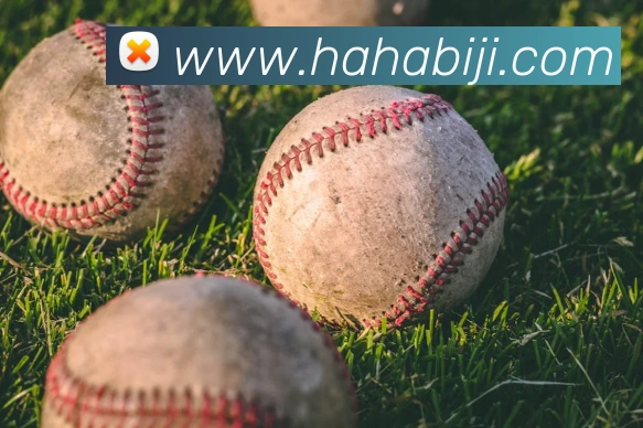 投注app官网平台生态图