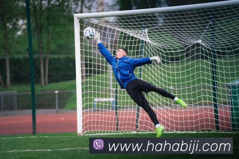 数据防护可视化